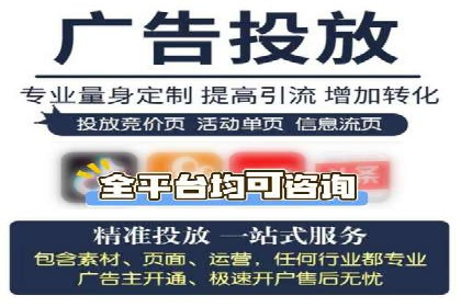 网络推广中的竞价广告：成功案例解析